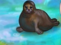 Oyunu My Dear Seal