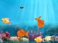 Oyunu Match the fish pairs