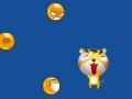 Oyunu Tigger