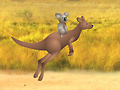 Oyunu Outback Winds