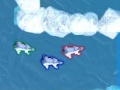 Oyunu Polar Bear Racing