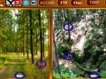 Oyunu Forest Similarities Game