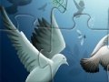 Oyunu Pigeons Puzzle