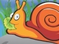 Oyunu Hungry Snail
