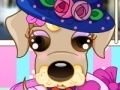 Oyunu Puppy Stylist