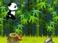 Oyunu Panda Runner