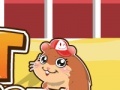 Oyunu Pet Hamster
