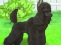Oyunu Pretty poodle
