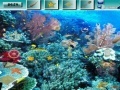 Oyunu Underwater World G2R
