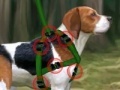 Oyunu Beagle training