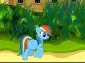 Oyunu Rainbow Dash Sprint