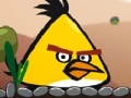 Oyunu Angry Bird Super Puzzle