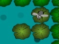 Oyunu Frogfly
