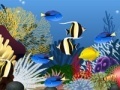 Oyunu Fish tank decoration