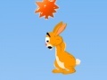 Oyunu Hopi: The Jumping Rabbit