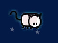 Oyunu Flying Cat
