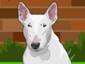 Oyunu Dress up Bull Terrier Dog