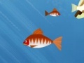 Oyunu Hungry Piranha