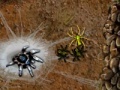 Oyunu Arachnid Wars