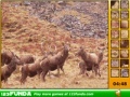 Oyunu Hidden Spots Animals