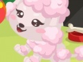 Oyunu Poodle care