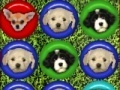 Oyunu Cute puppy match