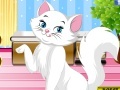 Oyunu Precious Little Kitty