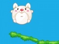 Oyunu Rolling rabbit