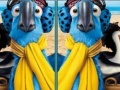Oyunu Rio, spot the difference