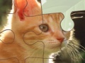 Oyunu Simple puzzle with animal
