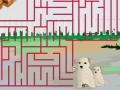 Oyunu Maze Game Play 39