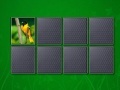 Oyunu Brain Memory: Nature Cards