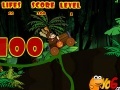Oyunu Donkey Kong race
