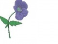 Oyunu Bee Believes Flowers
