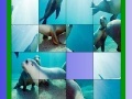 Oyunu Ocean and seals slide puzzle
