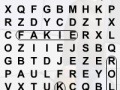 Oyunu Skater Word Search