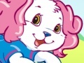Oyunu Dress Up Your Pet Dog