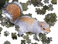 Oyunu Jigsaw: Posing Squirrel