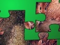 Oyunu Animal Puzzle