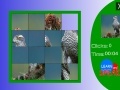 Oyunu Japanese Sparrowhawk slide puzzle