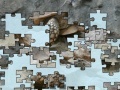 Oyunu Turtle puzzle