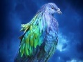 Oyunu Lovely blue bird slide puzzle