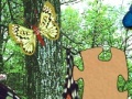 Oyunu 3D Real Puzzle butterfly