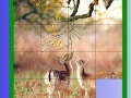 Oyunu Two Deer Slide Puzzle