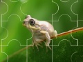 Oyunu Cute little frog puzzle