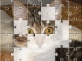 Oyunu Jigsaw: The Kitten