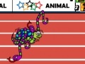 Oyunu Animal Olympics - Hurdles