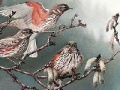 Oyunu Birds on a tree slide puzzle
