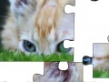 Oyunu Jigsaw: Cat Hiding