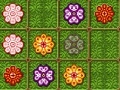 Oyunu Floribular